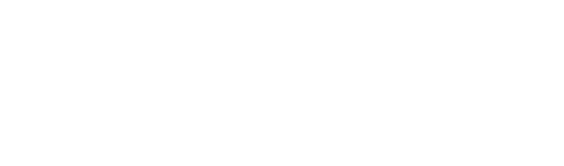 Netadev